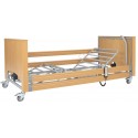 Lit alzheimer E23
